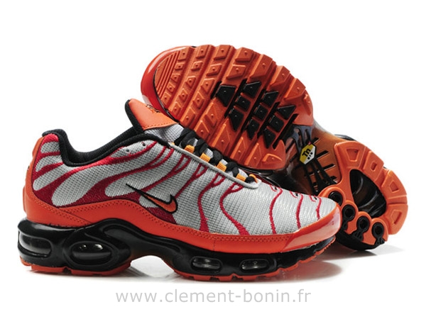 tn requin orange